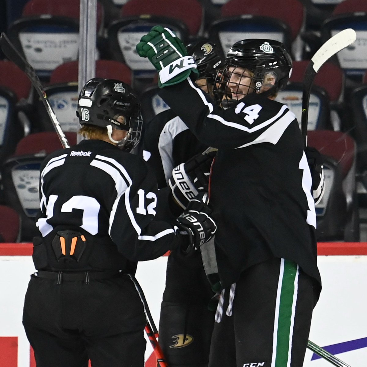 You love to see it!

📸: <a href="/CWardPhoto/">Candice Ward</a>