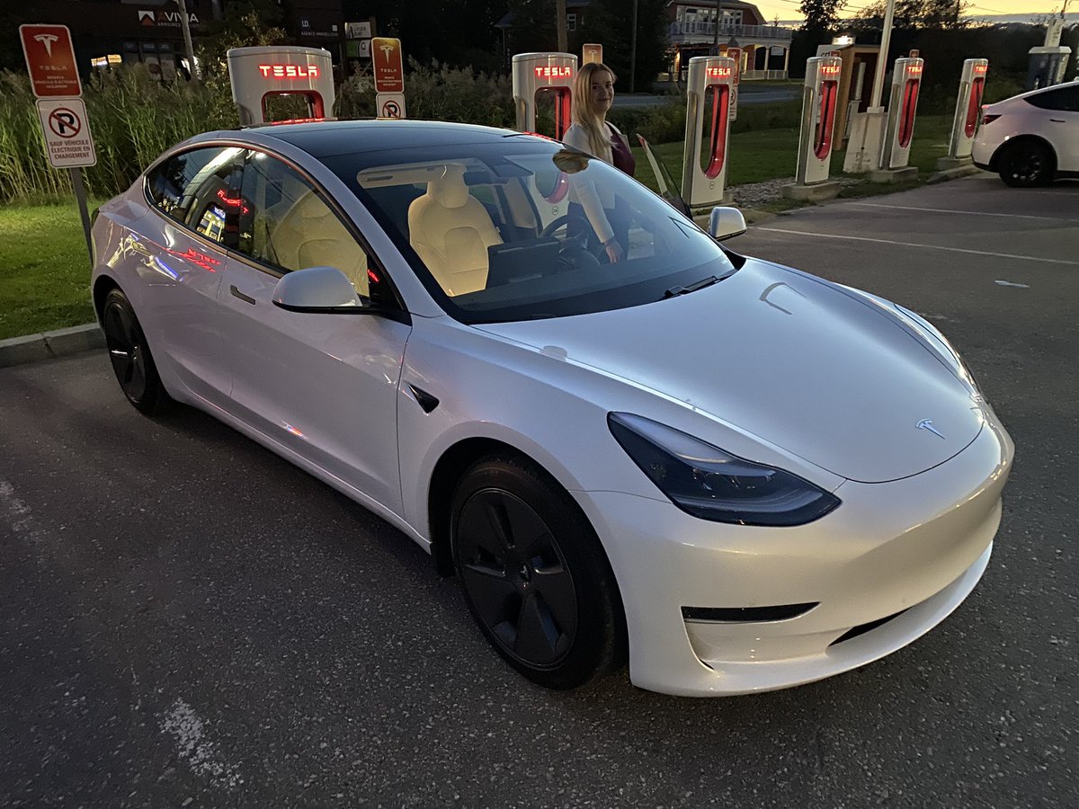 Pope of Muskanity tweet media