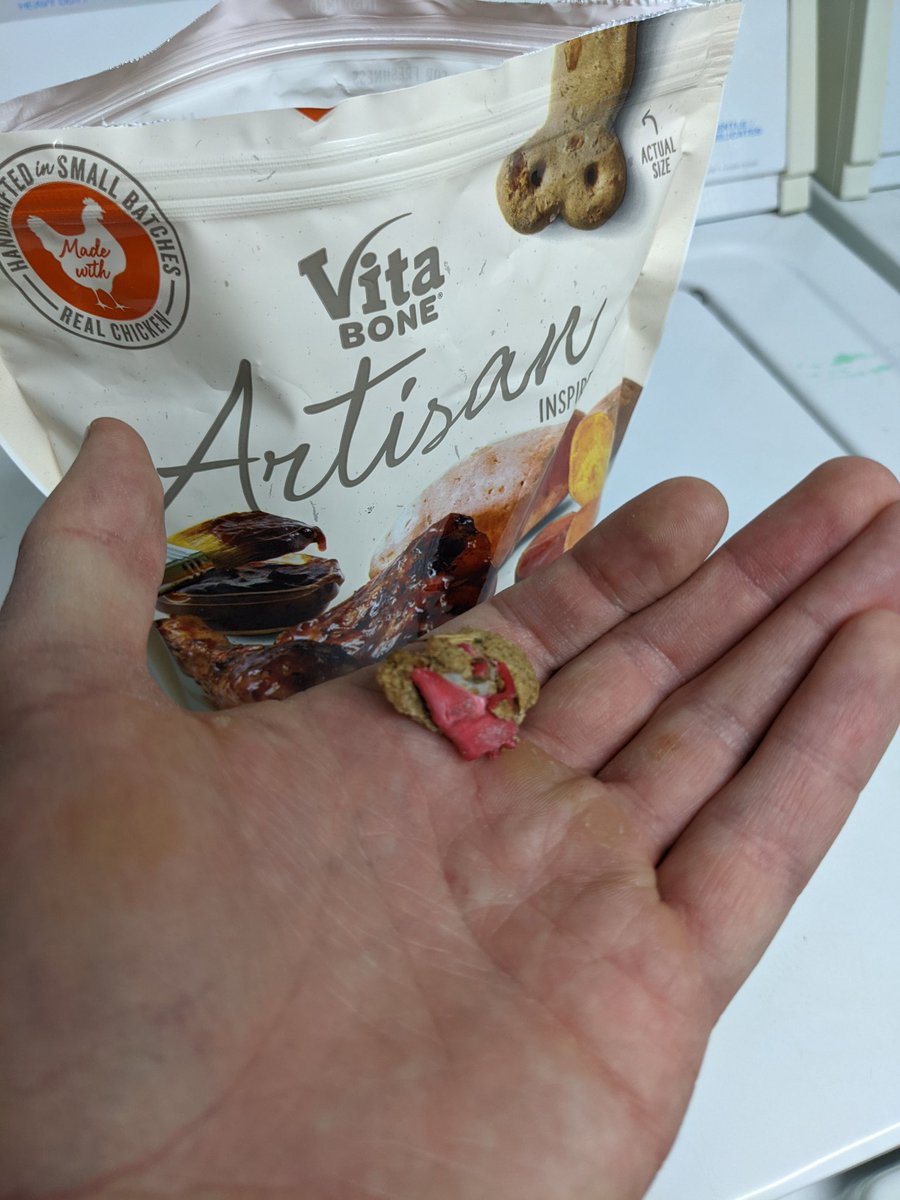ConorDilley's tweet photo. Just found this baked into my pups treat. Piece of plastic I think. Now I'm concerned with giving any more of these products to my pup. #vita_bone #dogs #dogtreats https://t.co/9Xwn2s5Gm3