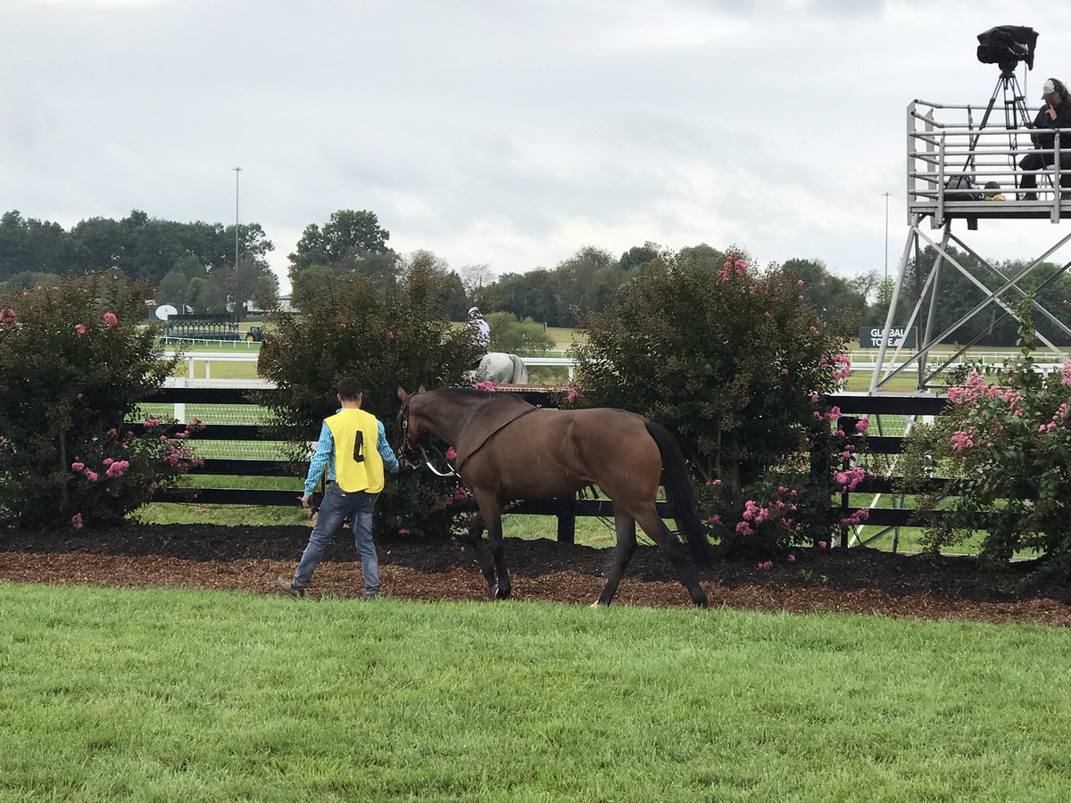 LBBStables's tweet photo. Couldn’t be happier with that debut from our girl, Lubna. Great job by @AnnaMeahRacing and team to get her ready and a big thanks to @MeahLloyd and @RiderDavey for having us. Big things ahead! https://t.co/yIpzWEtzff