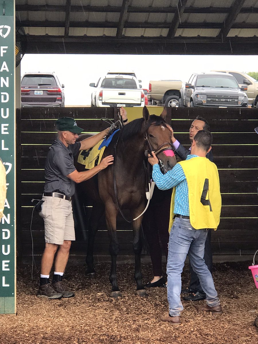 LBBStables's tweet photo. Couldn’t be happier with that debut from our girl, Lubna. Great job by @AnnaMeahRacing and team to get her ready and a big thanks to @MeahLloyd and @RiderDavey for having us. Big things ahead! https://t.co/yIpzWEtzff