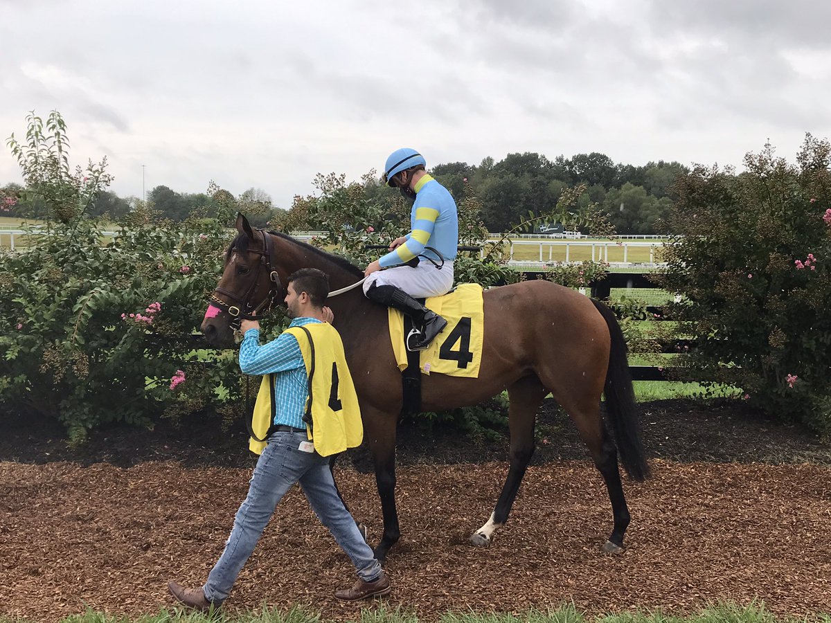 LBBStables's tweet photo. Couldn’t be happier with that debut from our girl, Lubna. Great job by @AnnaMeahRacing and team to get her ready and a big thanks to @MeahLloyd and @RiderDavey for having us. Big things ahead! https://t.co/yIpzWEtzff