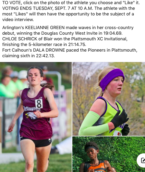 EntPubSports's tweet photo. Hey, look, a Nannen &amp; Harte PT Athlete of the Week Poll! Go vote for Dala Drowne, Keelianne Green or Chloe Schrick over at https://t.co/Dx57jYaYae. Just "Like" their photos over there before 10 a.m. Tuesday. #nebpreps #BlairNE #ArlingtonNE #FortCalhounNE https://t.co/JdGdvHaGZ5