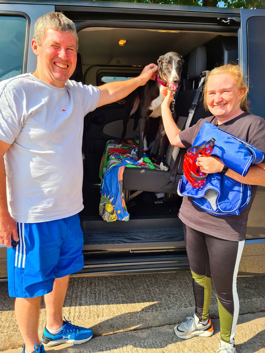 Greyhound Gap tweet media