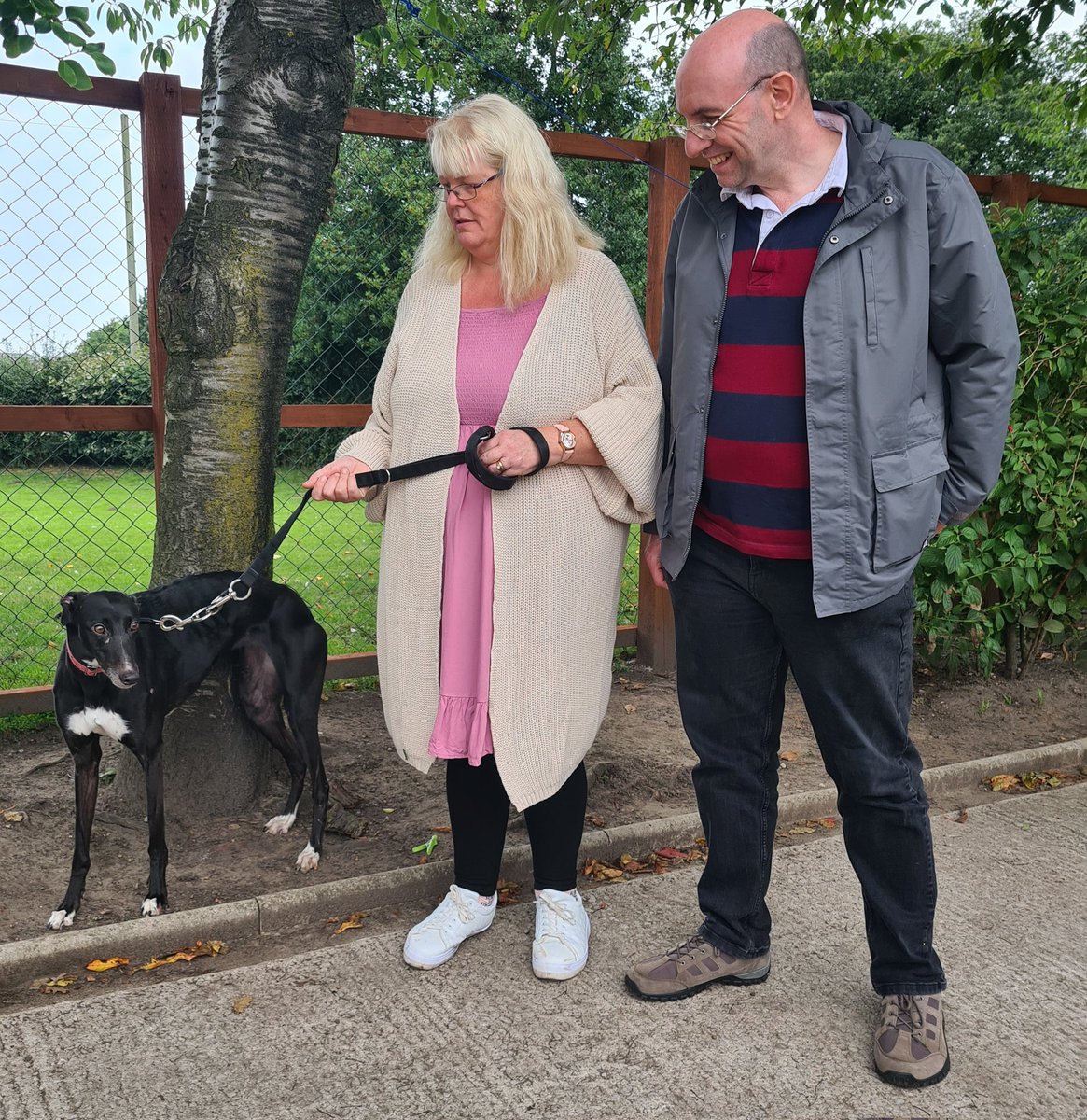 Greyhound Gap tweet media