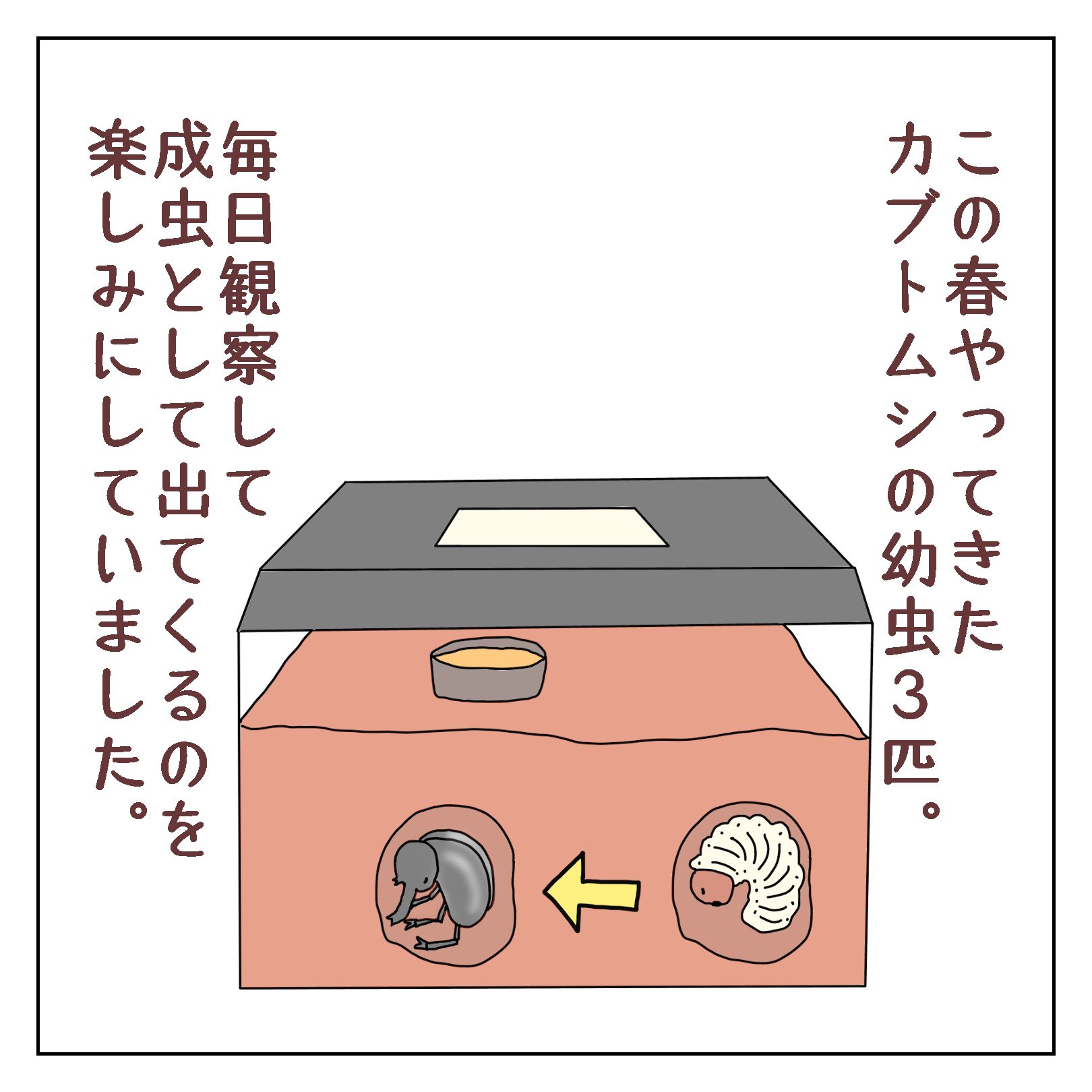 どんぐりころころ Twitter Search Twitter
