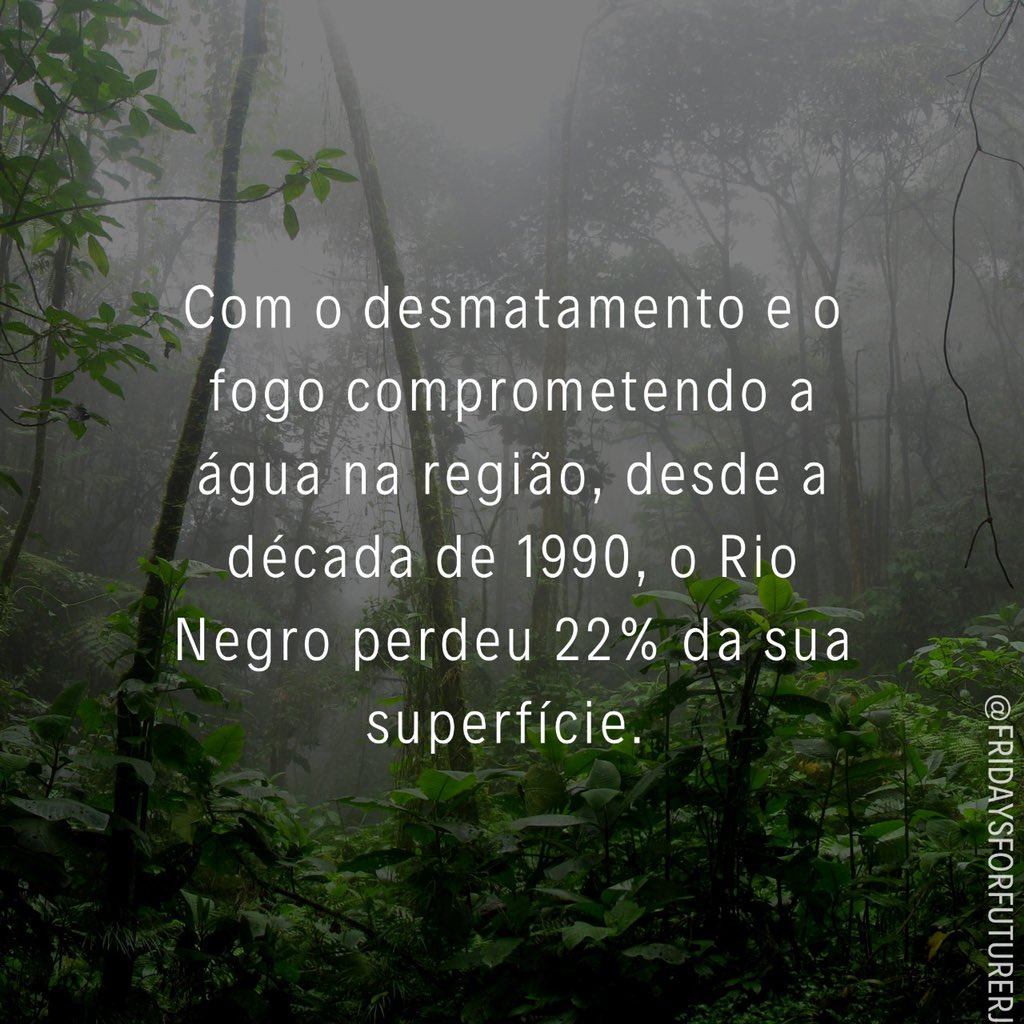FFF_RJ's tweet photo. Queremos uma Amazônia viva, chega de destruição criminosa‼️#DiaDaAmazônia https://t.co/u6I9BdfVdB