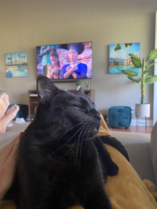 All about the palm trees and 100 degrees https://t.co/NyF1sqRaJD<a href="/tag/marcianomoment"class="tags"><span>#marcianomoment</span></a>