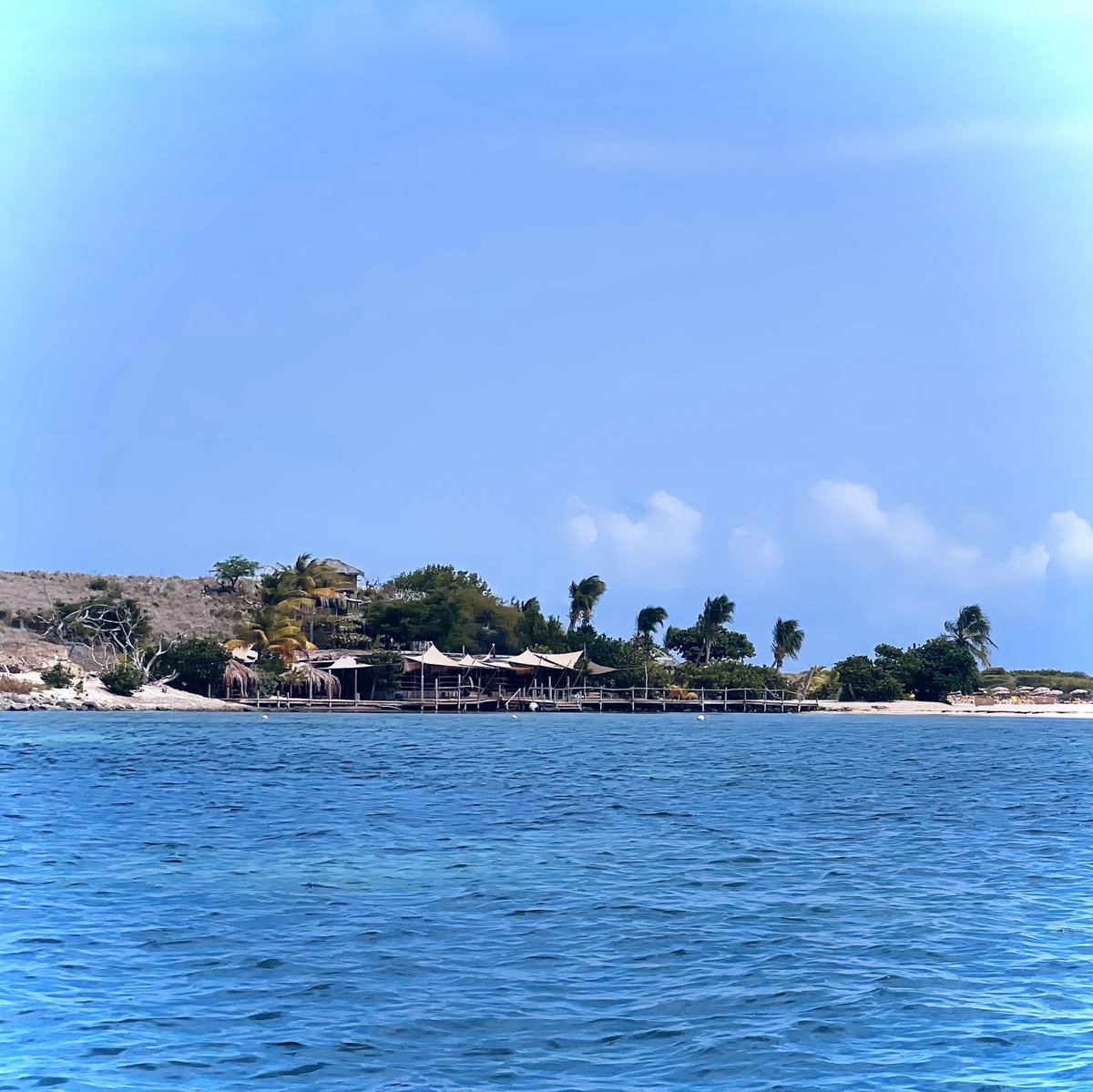 AC_NoChill's tweet image. I was on this island in the Caribbean of all places &amp;amp; met a couple from NYC. They said “you’re from Oklahoma? I’ve been watching this show on @hulu &amp;amp; love it. It’s called #RezDogs. Do you know it?” Why yes I do! 😻 And I proceeded to gush about @RezDogsFXonHulu. #RezDogsGlobal