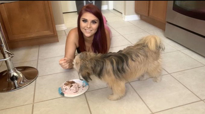 Spoon fed my dog a birthday I made for her! Watch it back for replay on https://t.co/qYFtEsXwnc https://t