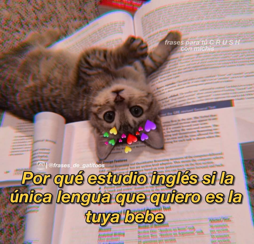 Memes de todo un pco op Twitter: Memes de todo un pco op Twitter: