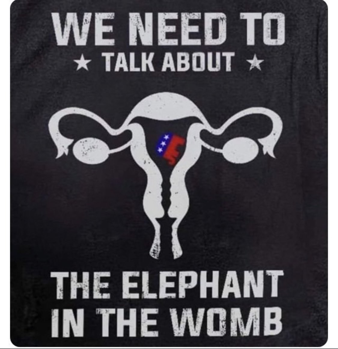 Abba_Annabelle's tweet photo. @TG22110 People without wombs shouldn’t be able to regulate them. 

#BootsOffOurWombs https://t.co/lPi6ijWtC9