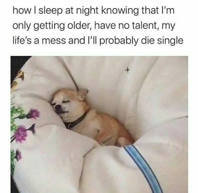 womenshumor's tweet photo. Kinda cool with it though https://t.co/3vJoOj8jgC