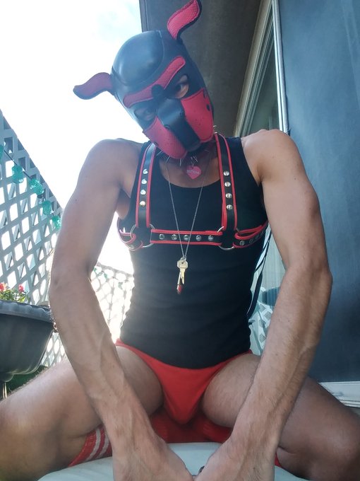 1 pic. Locked and loaded....n lonely... I want someone to play with. 
#lockeddick #lockedboi #gaychastity