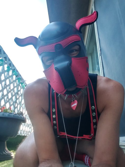 3 pic. Locked and loaded....n lonely... I want someone to play with. 
#lockeddick #lockedboi #gaychastity