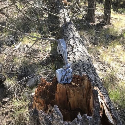 SlvEcosystem's tweet photo. Let’s keep our public lands healthy by always remembering to pack out our trash. We have been seeing more and more abandoned poop bags on local hiking trails. Do your part by cleaning up after your pet in a responsible way! #dontpoollute #dontpollute #keepcoloradowild https://t.co/yBabbgn7UC