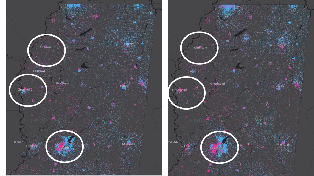 Bryan Mann tweet media