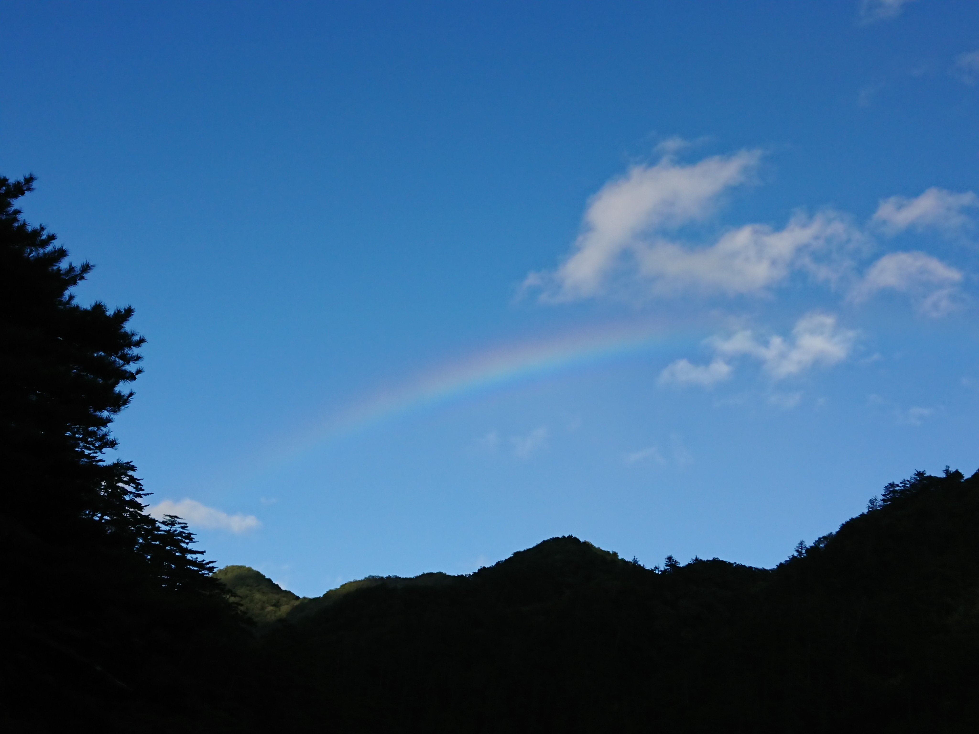 青空に虹 Twitter Search Twitter