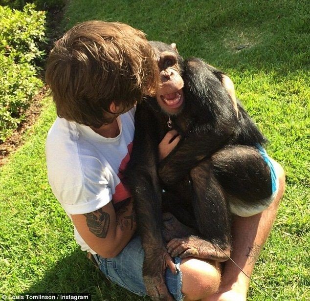 hourly louis (@hourlytomiinson) on Twitter photo 