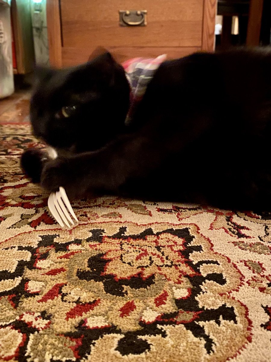 Galaxy Xippy Rodriguez tweet media