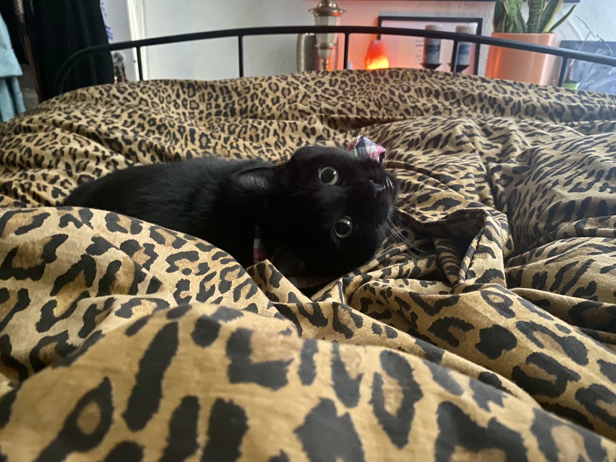 Galaxy Xippy Rodriguez tweet media