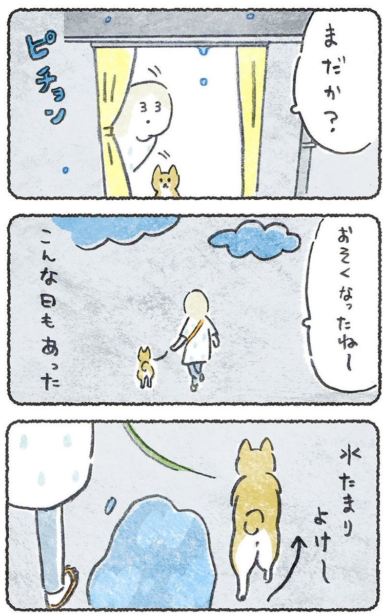 今年の夏は雨が多かったですね😀

#豆しばこつぶ
(1/2) 