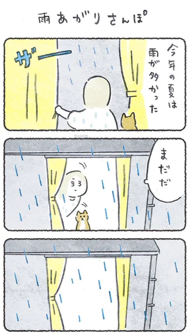 今年の夏は雨が多かったですね#豆しばこつぶ(1/2) 