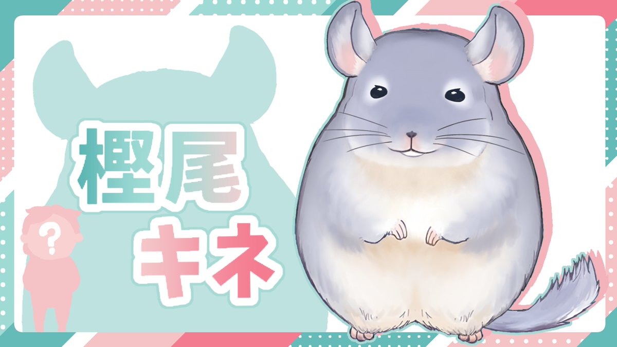 Kashio_Kine tweet picture