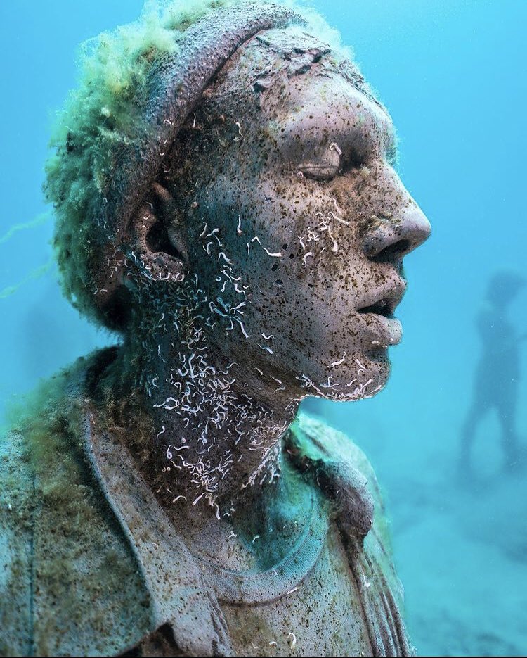 Suyun altında sanat

Jason Decaires Taylor #jasondecairestaylor #underwatersculpture