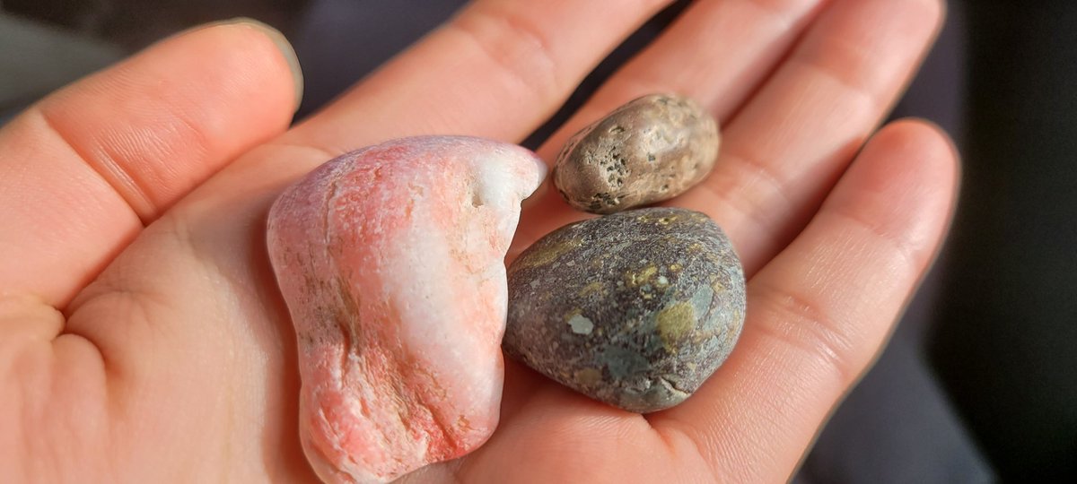 Eden (@eden_thought_) on Twitter photo 