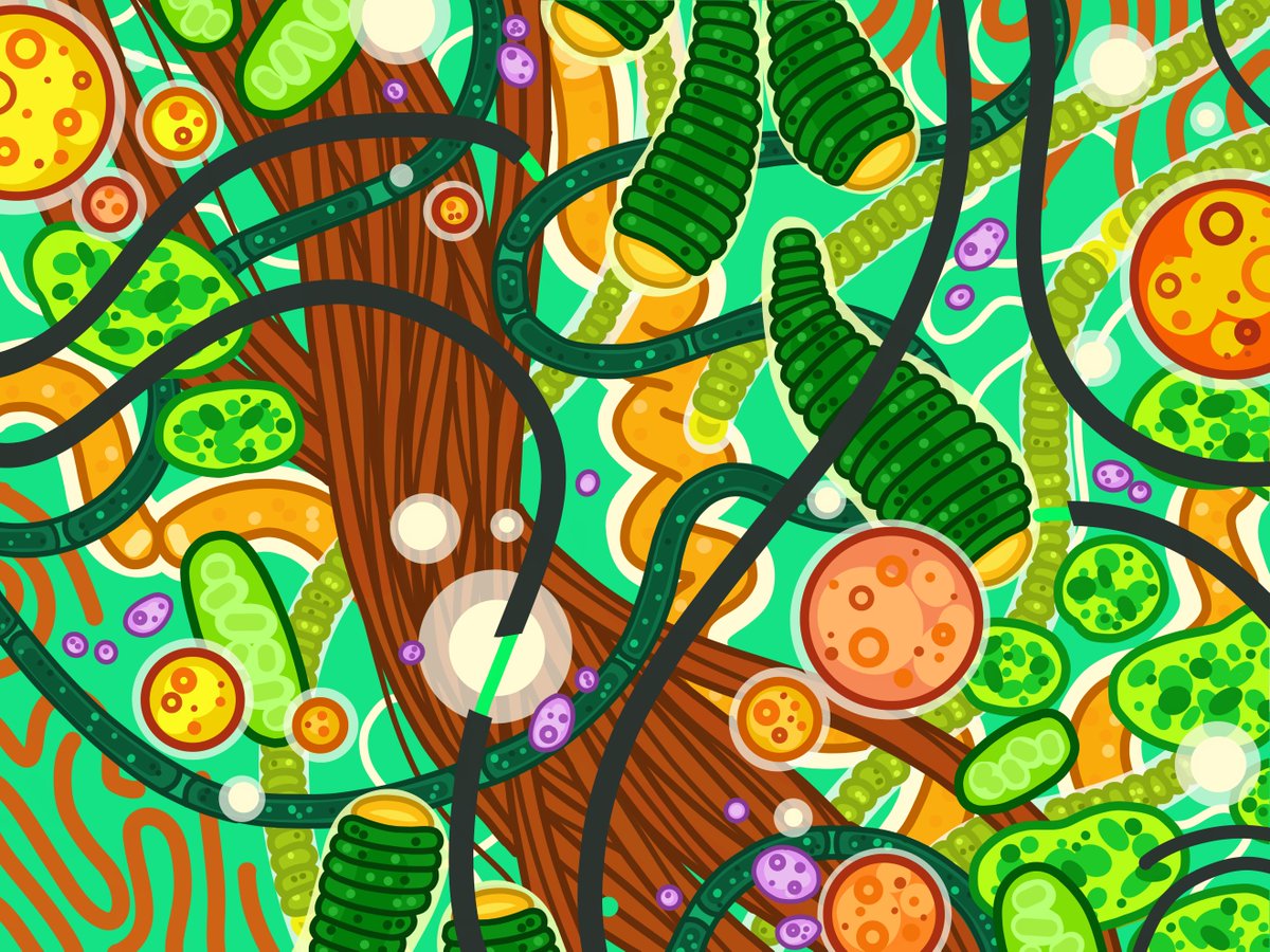 An assortment of colorful algae inspired by images taken in the lab of <a href="/DrylandAlgae/">Nicole Pietrasiak</a> for <a href="/FEMSmicro/">FEMS</a> #MicrobeArt2021 #InternationalMicroorganismDay