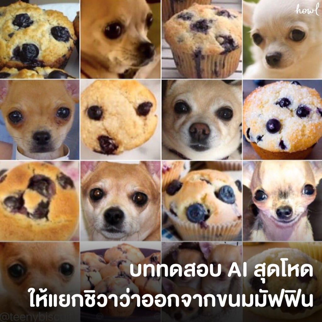 กูหยุดขำไม่ได้แงงง อย่าแกงน้องงงงงง 55555555555555555555