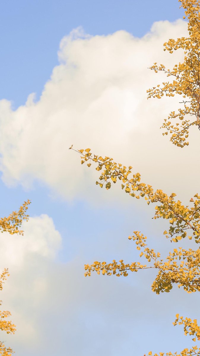 开心一点吧，哪怕遇到糟心的烦恼。