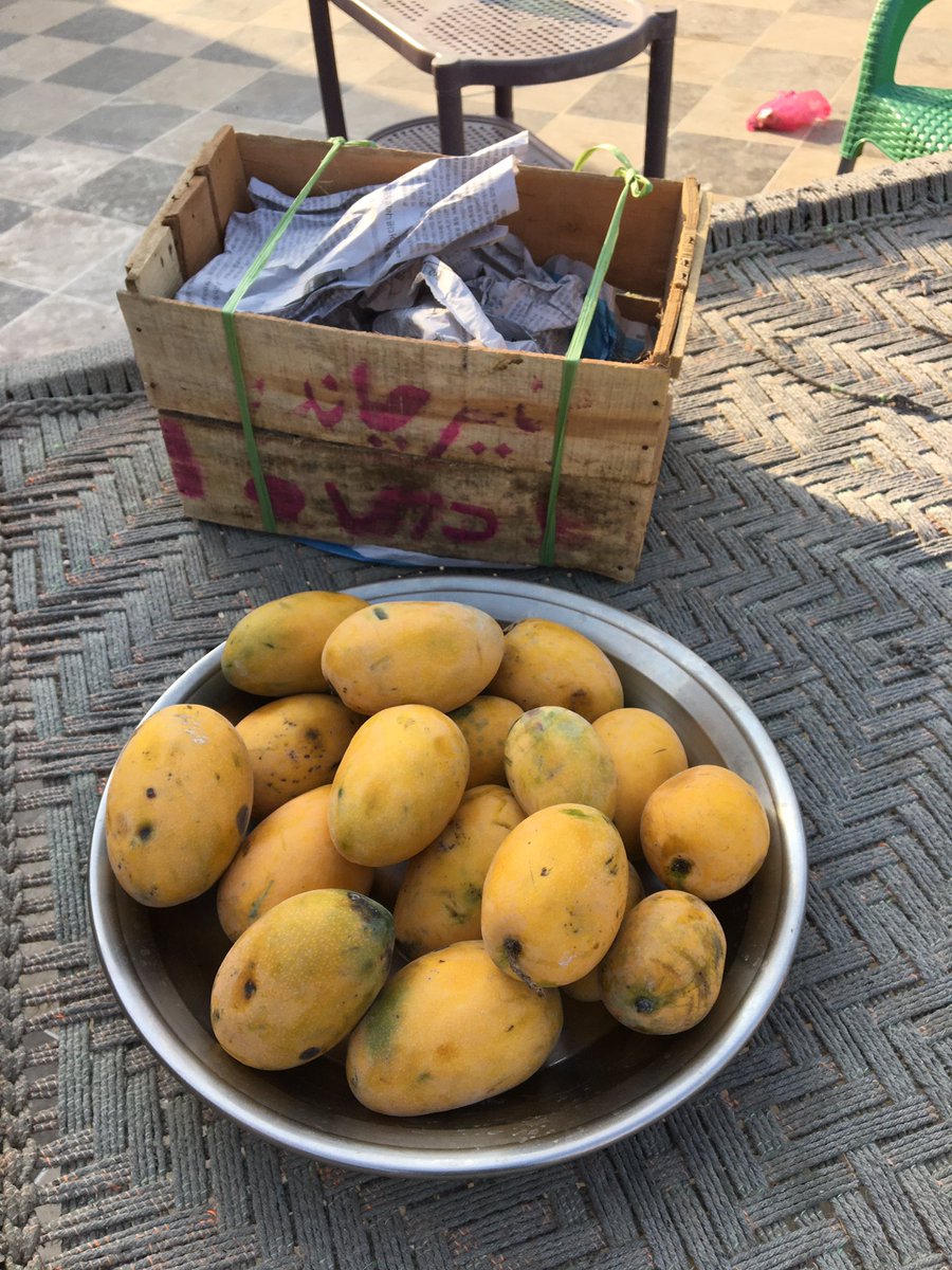 amaliksangri_a's tweet photo. Yet my #mangoes product continue This may be the lost slot to receive from my #Mangoe farm of this season.. https://t.co/wkqE2bEemt