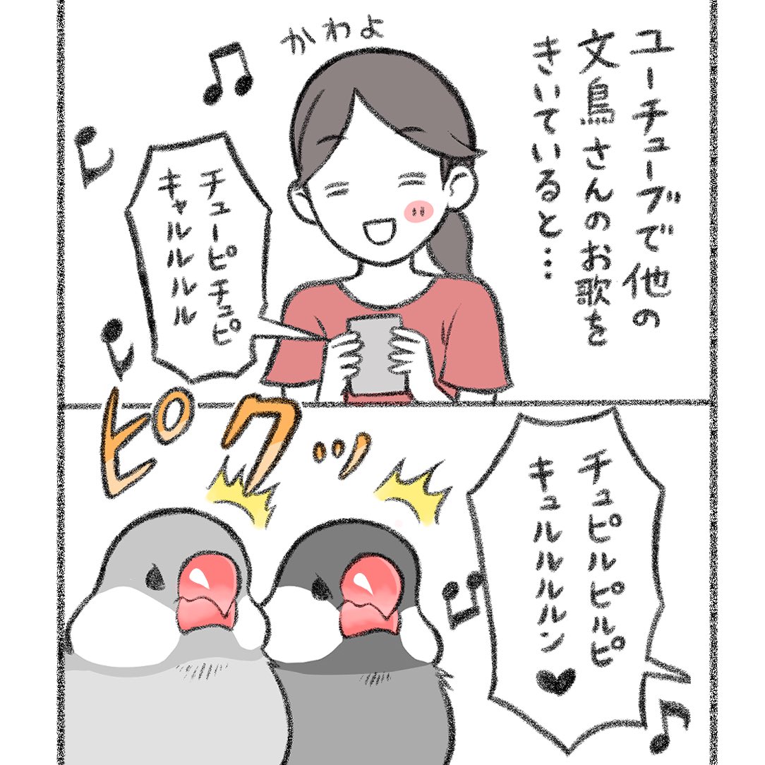 インスタに文鳥さんマンガをアップしました✨✨⤴️

続きはこちらから🐥💁‍♀️
https://t.co/kuqZW6YazT 