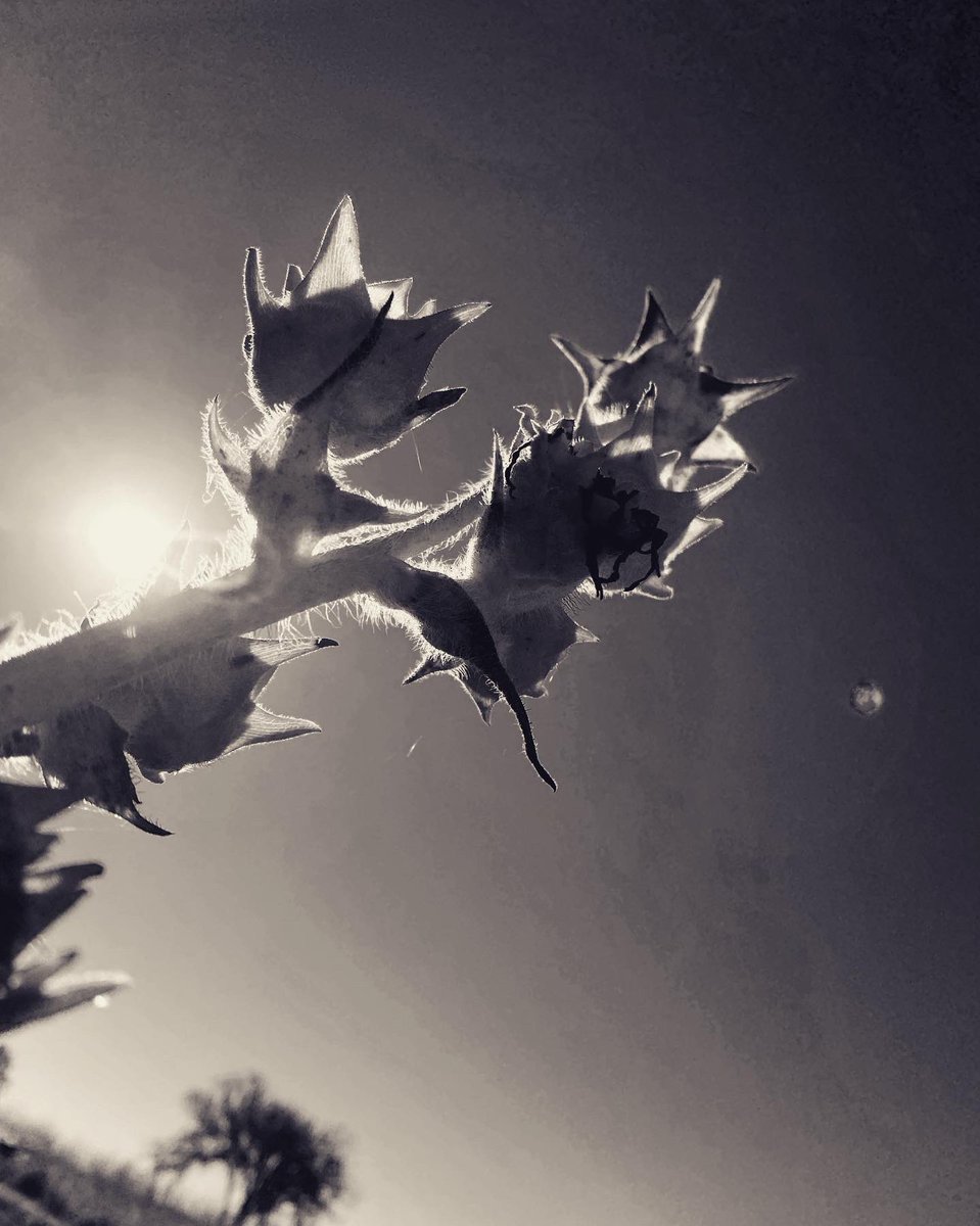 Randy Sweitzer tweet media