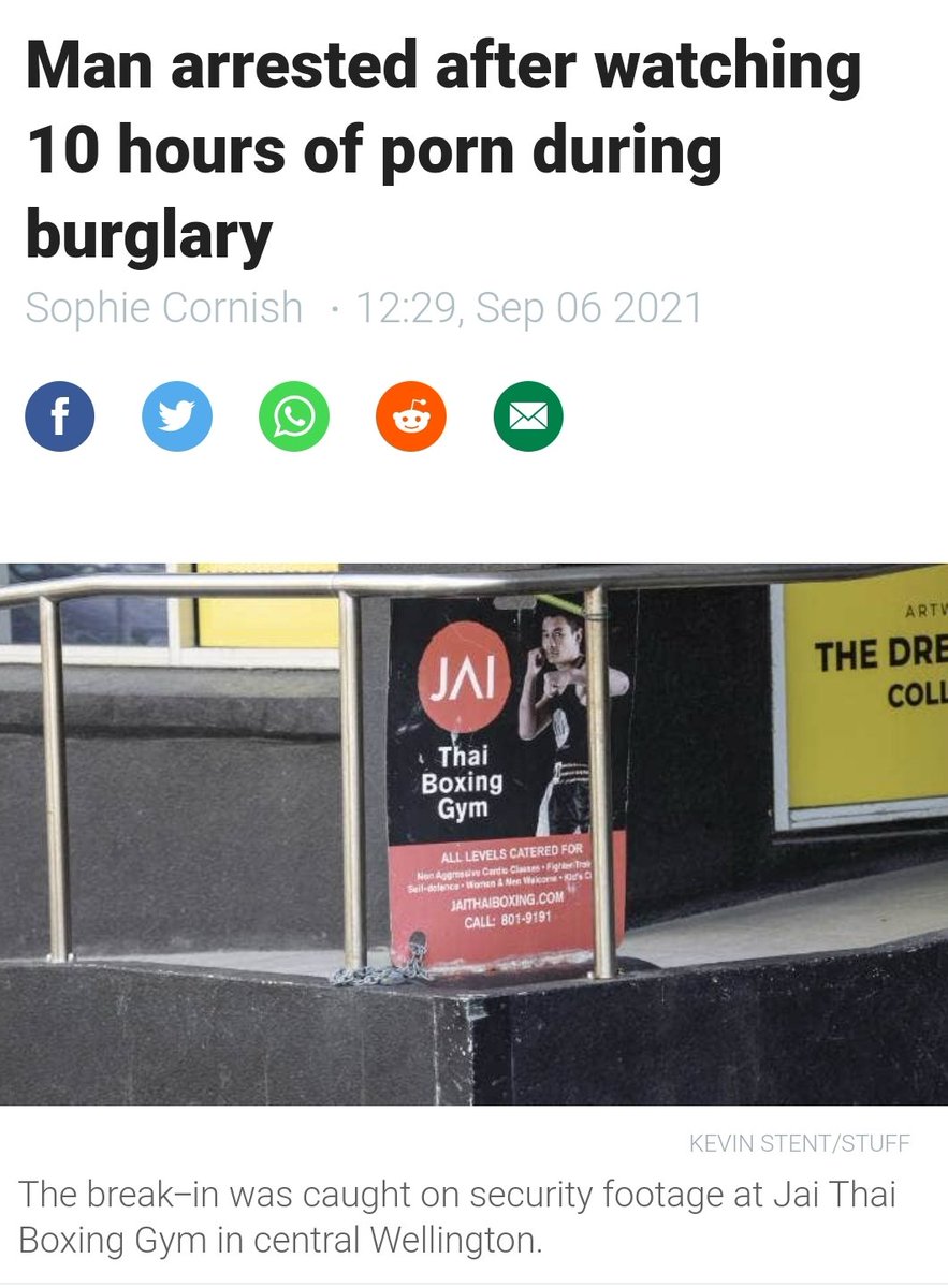 timvandammen's tweet image. Meanwhile, in NZ...