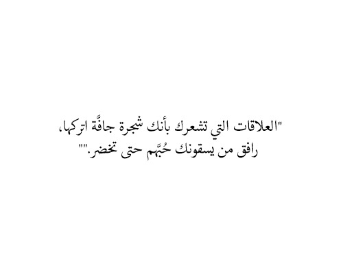 qal_tumblr's tweet photo. #صباح_الخير https://t.co/zmkBie21Ic