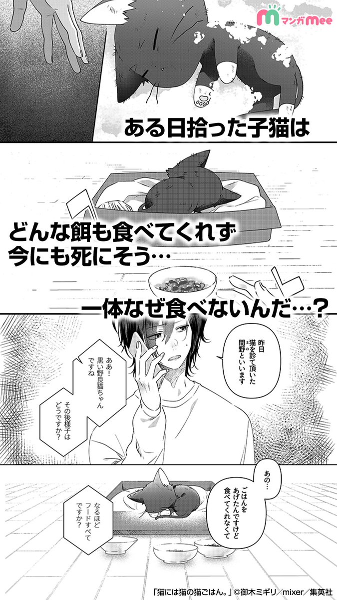 猫と男が幸せを分け合う物語 癒される 続きはマンガmeeで Http みぃ マンガmeeおすすめ漫画紹介の漫画