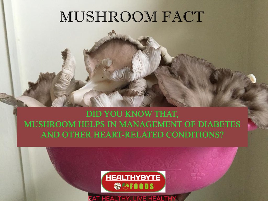 healthybytefoo1's tweet photo. Did you?🤔
Now you do 😊

Contact @healthybytefoods for any quantity of fresh or dried oyster mushrooms 🍄 https://t.co/Y1wTrDBW8k