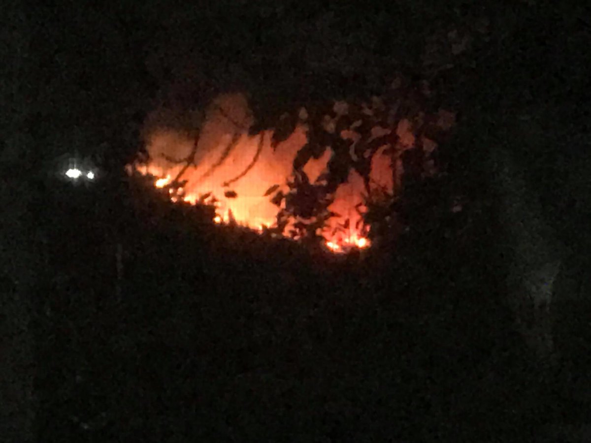 AKMamaGrizzly's tweet photo. Anyone else remembering last yearโs ๐ฅ#SumnerGradeFire? This time last year the power was out & winds were howling. One fire had already started near 167.
Always grateful for our #firefighters & #FirstResponders. #wildfire #Sumner @EastPierceFire @CityOfSumnerWA @thenewstribune https://t.co/U3srM8VGKZ