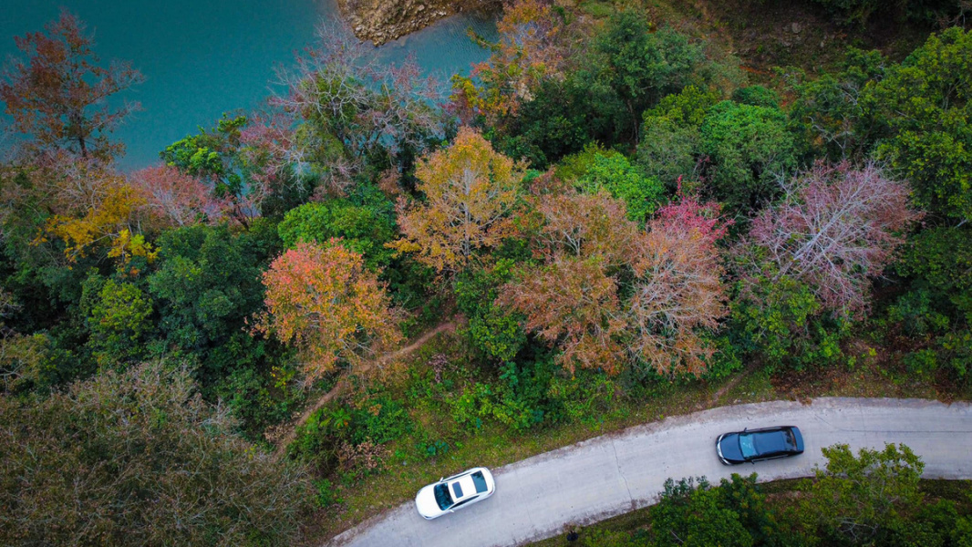 vietmountains's tweet photo. The Best time to see Maple tree in northern Vietnam
Maple trees have brightened the landscape of Trung Khanh District, Cao Bang Province with red and yellow leaves.
#mapletree #nature #vietmountains #hiking #trekking #naturephotography 
https://t.co/ZcnWcCkQgQ https://t.co/ylz6b64sYn