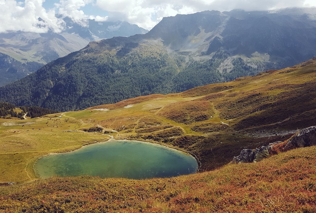 Et puis s'assoir ici - au milieu des myrtilles - pour manger. 🍇
<a href="/LaPlagne/">La Plagne</a>