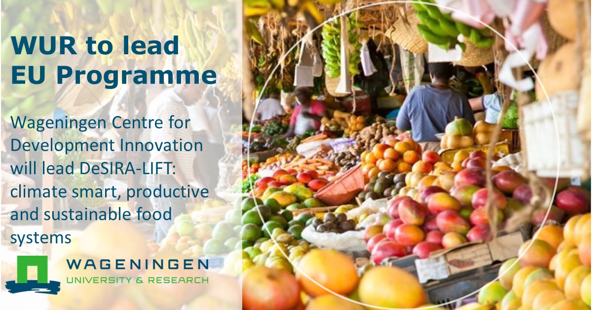 #Foodsystems🤝| <a href="/WUR_WCDI/">Wageningen Centre for Development Innovation</a> to lead EU programme DeSIRA-LIFT! This programme will contribute to productive, sustainable transformation of agriculture and food systems in LMICs, lead by our programme director Helena Posthumus. 👉wur.nl/en/newsarticle…
<a href="/EU_Partnerships/">EU International Partnerships 🇪🇺</a> #UNFSS2021