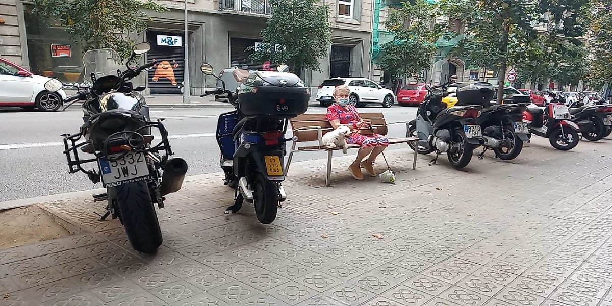 Robert Moses tweet media