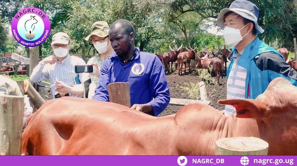 NATIONAL ANIMAL GENETIC RESOURCES CENTRE &DATABANK tweet media