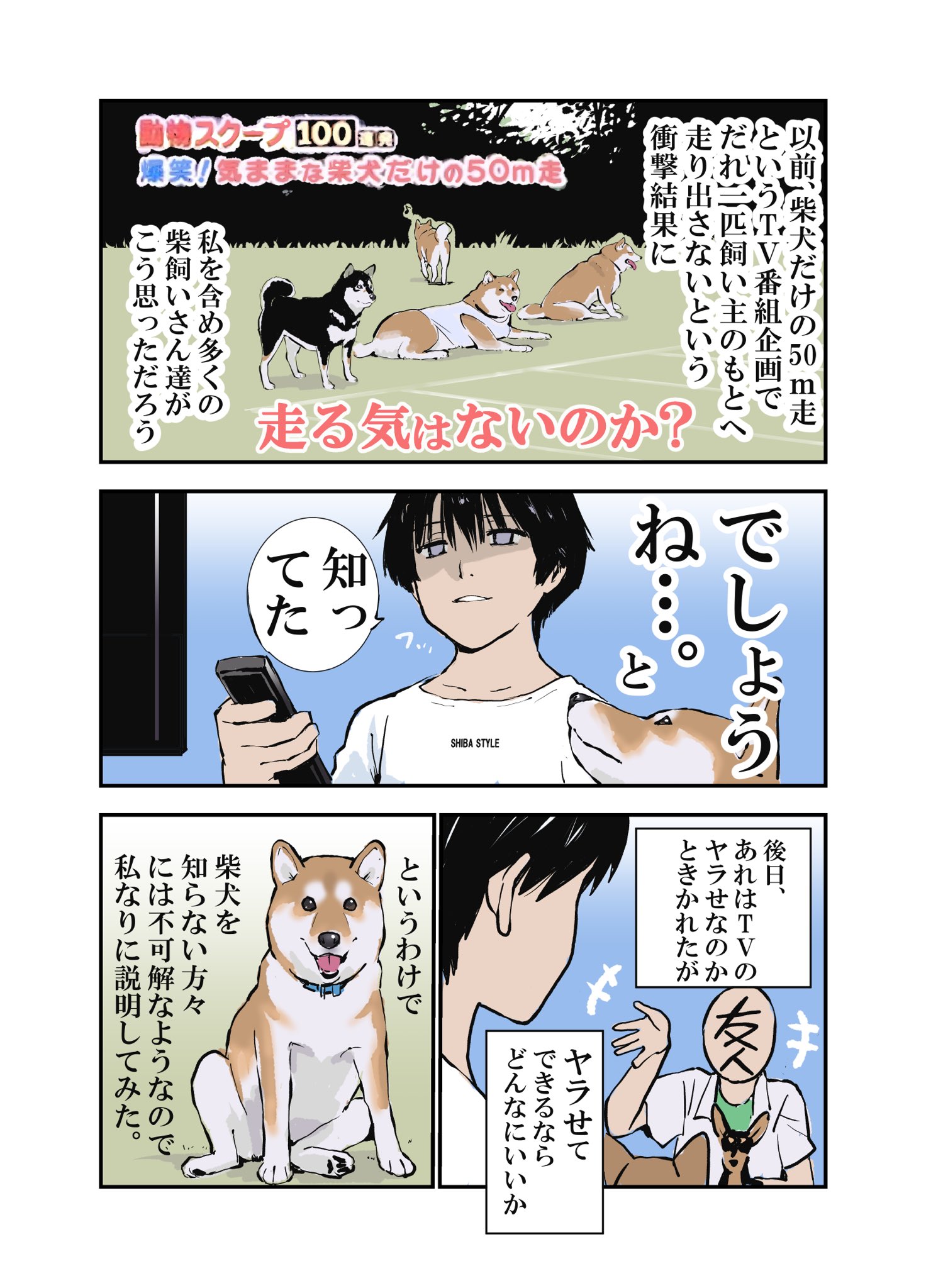 石原 雄 番組 柴犬だけの50m走 内容の結果に知人が不思議がっていたので説明してみた T Co Ycw6bdgu2j Twitter