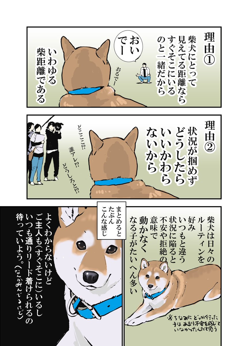 [番組]柴犬だけの50m走  内容の結果に知人が不思議がっていたので説明してみた。 