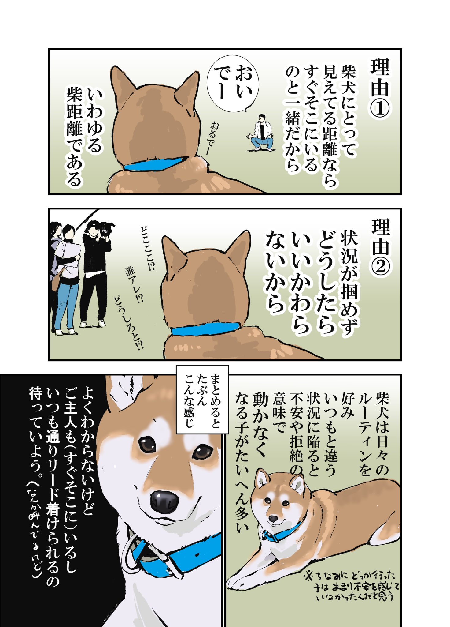 石原 雄 番組 柴犬だけの50m走 内容の結果に知人が不思議がっていたので説明してみた T Co Ycw6bdgu2j Twitter