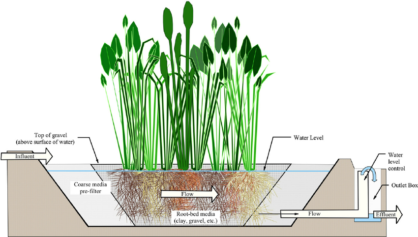 OdiCapitalRegn's tweet photo. Along with artificial filtering system we also can make use of vegetation based natural cleansing of river water for swimming in this river pool through a three-level purifying system.Natural Vegetation filtering-Floating bio-filtration system-Then two level Artificial filtering. https://t.co/mUZo2iluT0